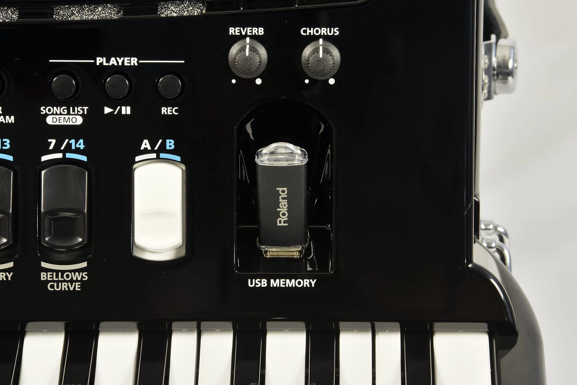 Roland FR4x V-Accordion (Keyboard Type) In Black 5 Roland FR4x V-Accordion (Keyboard Type) In Black - Image 5