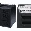 AER Alpha 40 Acoustic Guitar Amp