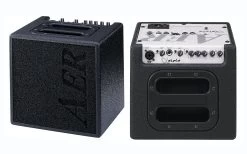 AER Alpha 40 Acoustic Guitar Amp