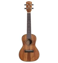 Alvarez AU90C Artist Concert Ukulele In Natural -Professional Guitar Store 294175 AU90C Front