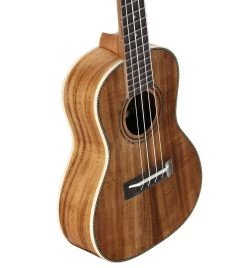 Alvarez AU90C Artist Concert Ukulele In Natural -Professional Guitar Store 294179 AU90C TDown