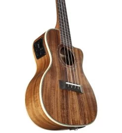 Alvarez AU90CCE Artist Electro-Acoustic Concert Ukulele In Natural -Professional Guitar Store 294196 AU90CCE Bup