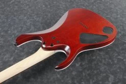 Ibanez RGA42FM-TGF Electric Guitar In Transparent Gray Flat -Professional Guitar Store 368881 Ibanez RGA42FM TGF 6