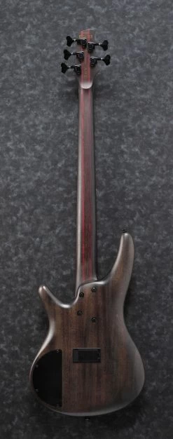 Ibanez SR1605B-CHF 5 String Bass In Caribbean Shoreline Flat -Professional Guitar Store 370649 SR1605B CHF 1P 01 Back2028129