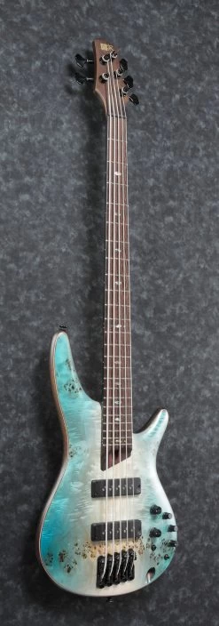 Ibanez SR1605B-CHF 5 String Bass In Caribbean Shoreline Flat -Professional Guitar Store 370652 SR1605B CHF 1P 01 Tilt Side2028129