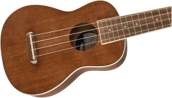 Fender Seaside Soprano Ukulele Pack In Natural Finish -Professional Guitar Store 380261 0971610022 gtr cntbdyright 001