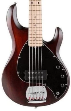 Sub Ray 5 In Walnut Satin W/ Maple Neck