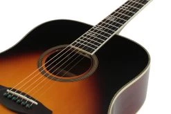 Sire Larry Carlton A4 Dreadnought Electro Acoustic In Vintage Sunburst -Professional Guitar Store 408390 R4LCNATVS20281229