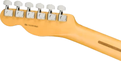 Fender American Professional II Telecaster In Butterscotch Blonde -Professional Guitar Store 409328 0113942750 fen ins hbk 1 nr