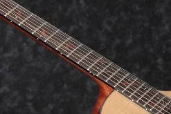 Ibanez AE325-LGS AE Series Acoustic Guitar In Natural -Professional Guitar Store 424269 AE325 LGS 1X 02 N