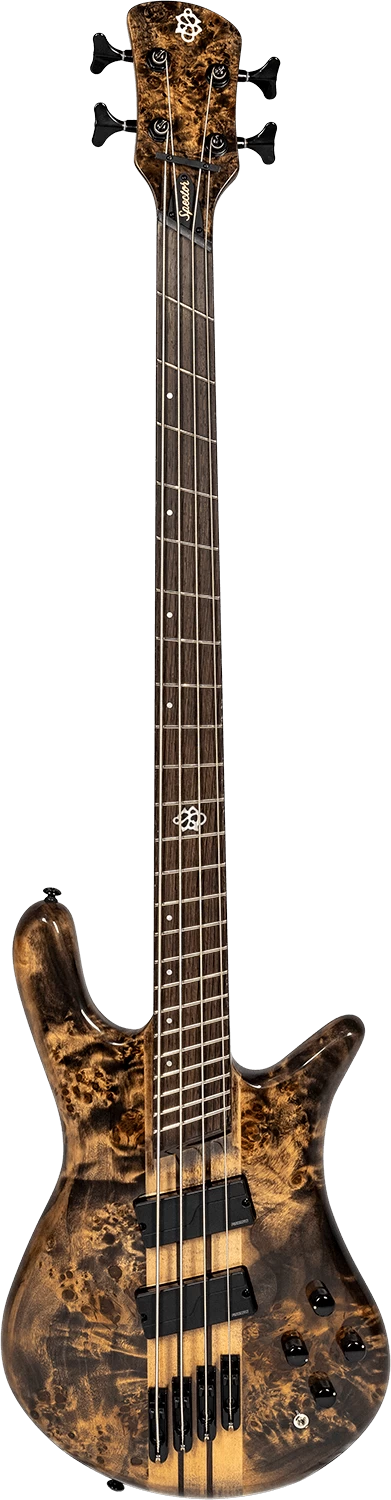 Spector NS Dimension MS 4 4-String Bass In Super Faded Black 2 Spector NS Dimension MS 4 4-String Bass In Super Faded Black - Image 2