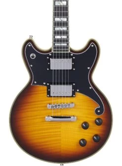 D'Angelico Deluxe Brighton Electric Guitar In Vintage Sunburst