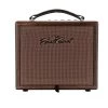 B Stock : EastCoast 25W Acoustic Guitar Amplifier