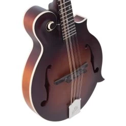 Loar Honey Creek F-Style Mandolin In Satin Brownburst -Professional Guitar Store 442298 1619775551763