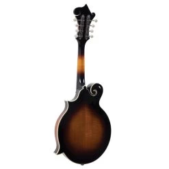 Loar Professional F-Style Mandolin In Vintage Sunburst 7 Loar Professional F-Style Mandolin In Vintage Sunburst -Professional Guitar Store 442320 1619779659669