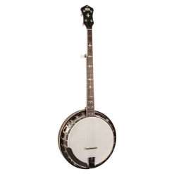 Recording King RK-R35-BR Madison Maple Resonator Banjo With Tone Ring
