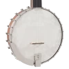 Recording King RK-OT25-BR Madison Open Back Banjo With Scooped Fretboard