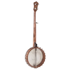 Recording King RK-OT25-BR Madison Open Back Banjo With Scooped Fretboard -Professional Guitar Store 448930 RK OT25 BR2028329