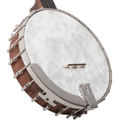 Recording King RK-OT25-BR Madison Open Back Banjo With Scooped Fretboard -Professional Guitar Store 448931 RK OT25 BR2028429
