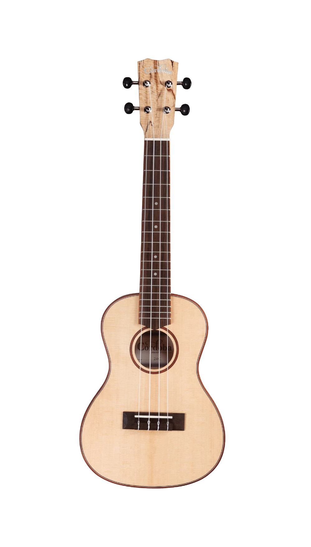 Cordoba 24C Solid Spruce Concert Ukulele 2 Cordoba 24C Solid Spruce Concert Ukulele - Image 2