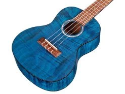 Cordoba Flame Mahogany Concert Ukulele In Sapphire Blue -Professional Guitar Store 450235 CMG11 2R9A5332m