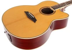 Sire Larry Carlton A4 Grand Auditorium Electro Acoustic In Natural -Professional Guitar Store 469767 R4LCGSNAT2028629