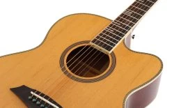 Sire Larry Carlton A4 Grand Auditorium Electro Acoustic In Natural -Professional Guitar Store 469768 R4LCGSNAT2028729