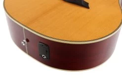 Sire Larry Carlton A4 Grand Auditorium Electro Acoustic In Natural -Professional Guitar Store 469769 R4LCGSNAT2028829