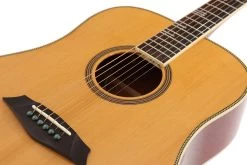 Sire Larry Carlton A4 Dreadnought Electro Acoustic In Natural -Professional Guitar Store 469775 R4LCNAT2028729