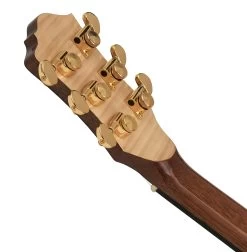 BC Rich Prophecy Series Electro Acoustic Guitar With Cutaway In Natural Flame 13 BC Rich Prophecy Series Electro Acoustic Guitar With Cutaway In Natural Flame -Professional Guitar Store 510508 BC Rich Prophecy Series Electro Acoustic Guitar Cutaway Natural Flame Headstock