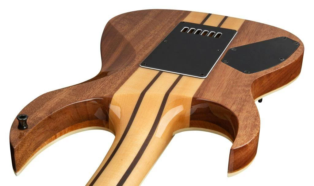 BC Rich Prophecy Series Shredzilla Archtop Electric Guitar With EverTune In Spalted Maple 6 BC Rich Prophecy Series Shredzilla Archtop Electric Guitar With EverTune In Spalted Maple - Image 6