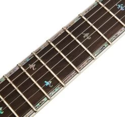 BC Rich Prophecy Series Shredzilla Archtop Electric Guitar With EverTune In Spalted Maple 15 BC Rich Prophecy Series Shredzilla Archtop Electric Guitar With EverTune In Spalted Maple -Professional Guitar Store 513625 BC20Rich20Prophecy20Series20Shredzilla20Archtop20Electric20Guitar20with20EverTune20in20Spalted20Maple207