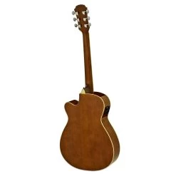 Aria AFN-15CE Acoustic Guitar With Cutaway In Tobacco Burst -Professional Guitar Store AFN 15CE TS Aria AFN 15CE Acoustic Guitar with Cutaway in Tobacco Sunburst back