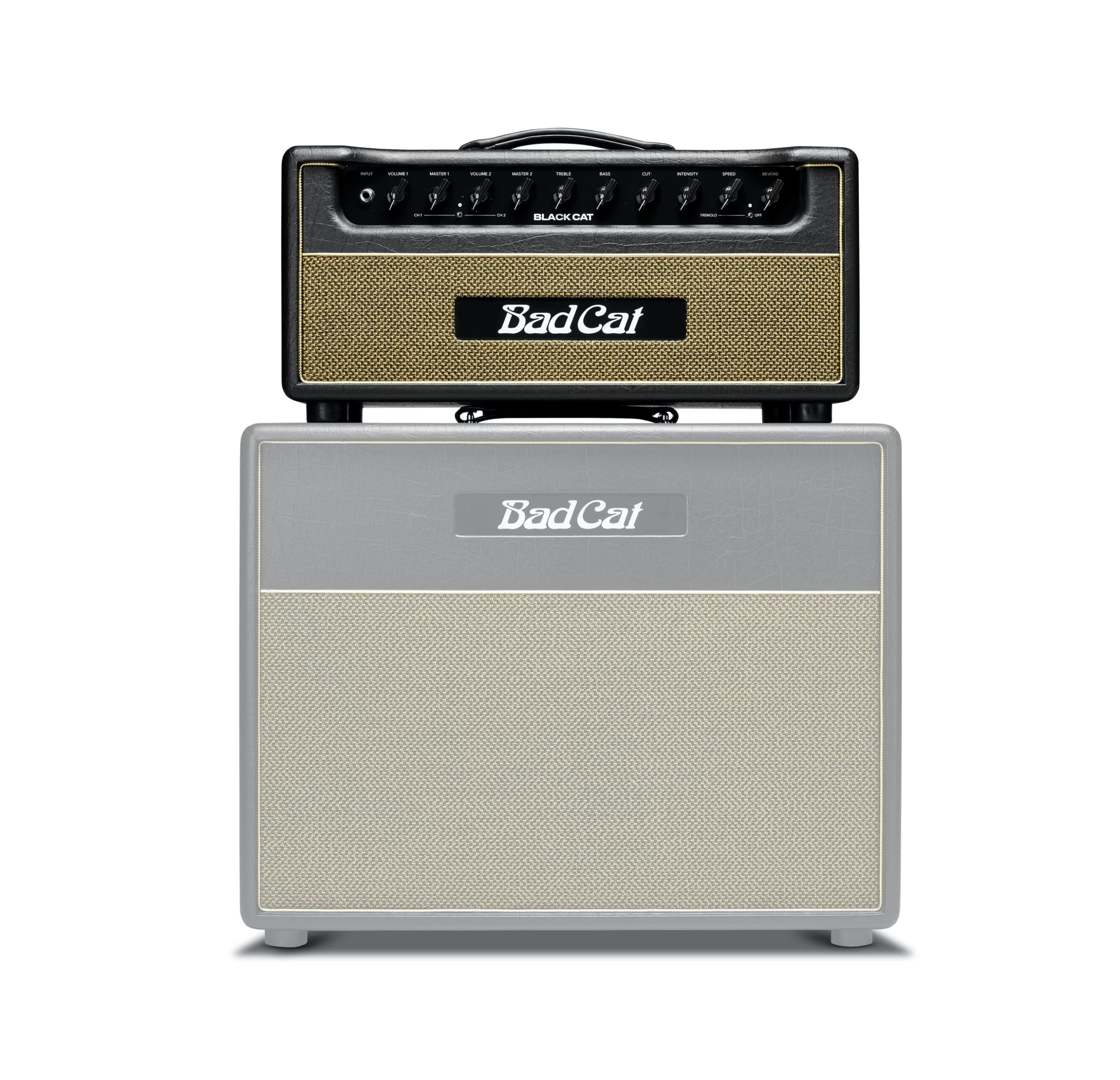 B Stock : Bad Cat Black Cat 20W Valve Amp Head 5 B Stock : Bad Cat Black Cat 20W Valve Amp Head - Image 5