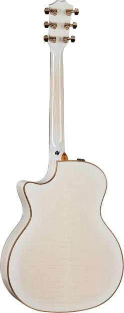 Taylor Custom No.22 - C14ce Maple Flame Lutz Acoustic Guitar -Professional Guitar Store C14CE 23C22 Taylor Custom c14 ce Maple Acoustic Guitar Back Full