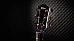 Taylor Custom No.22 - C14ce Maple Flame Lutz Acoustic Guitar -Professional Guitar Store C14CE 23C22 Taylor Custom c14 ce Maple Acoustic Guitar Headstock