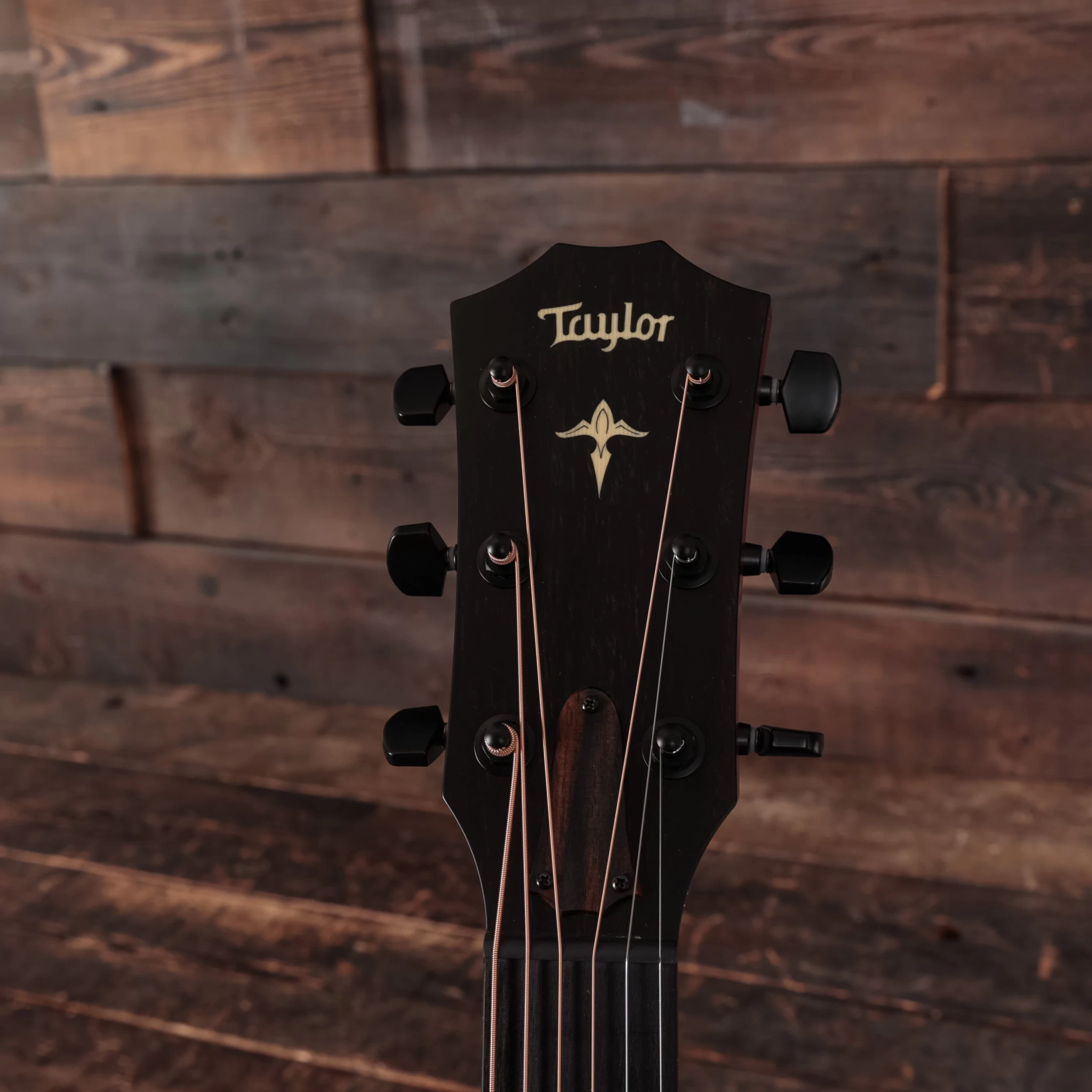 Taylor Custom No.41 - C14ce Maple A Western Red Cedar Acoustic Guitar 5 Taylor Custom No.41 - C14ce Maple A Western Red Cedar Acoustic Guitar - Image 5