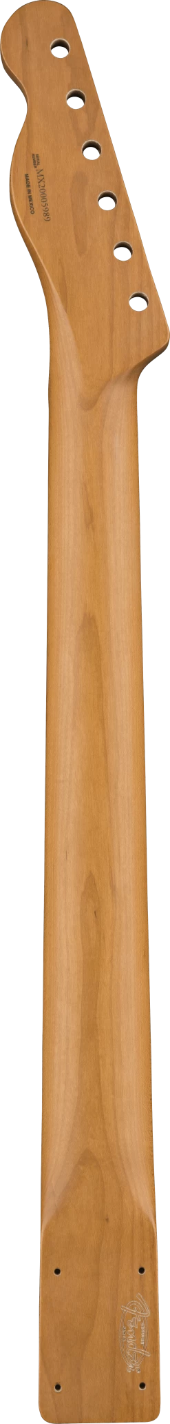Fender Roasted Maple Vintera 60s Modified Tele Neck 5 Fender Roasted Maple Vintera 60s Modified Tele Neck -Professional Guitar Store Ps5pFN493Cv5l2LPwl2QSxPYXnekxt8laiooOW6M